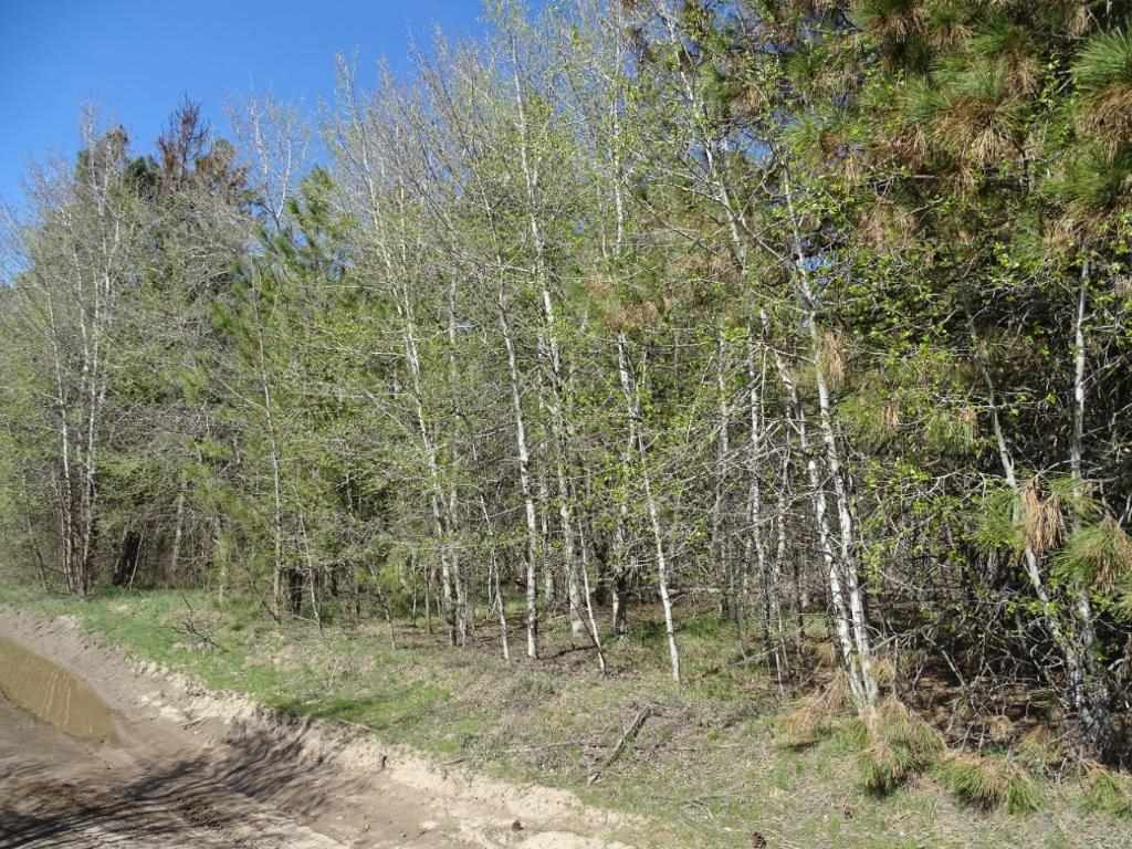 Property Photo: 00 N Burroughs Tract D WA 99006