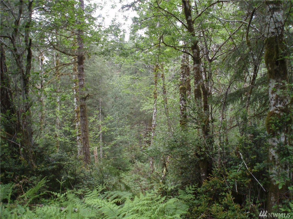 Property Photo:  10 Acres Lake Christine Rd  WA 98588 