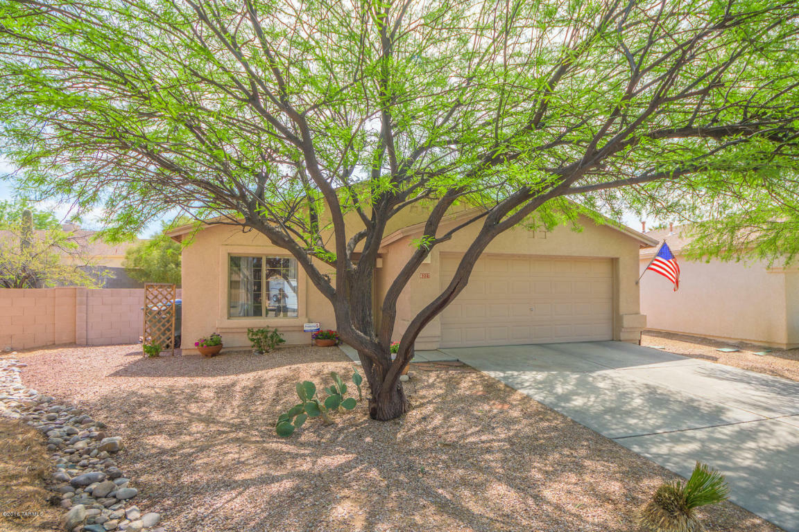 Property Photo:  8227 S Placita Del Plantio  AZ 85747 