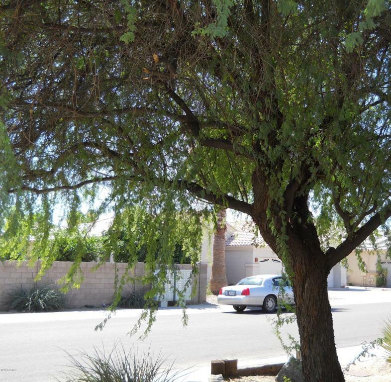 Property Photo:  790 W Cherrywood Drive  AZ 85248 