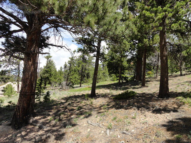 Property Photo: 0 Peak To Peak Hwy CO 80466