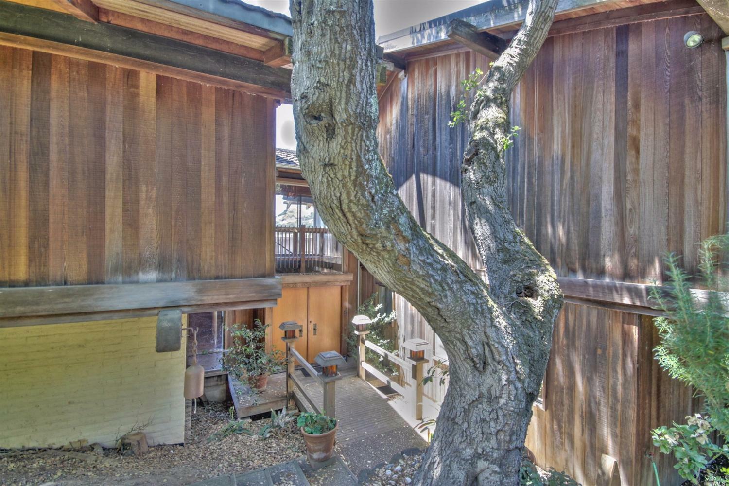 Property Photo:  34 Tweed Terrace  CA 94901 