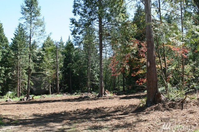 Property Photo: Nhn Josh Wilson Rd WA 98233