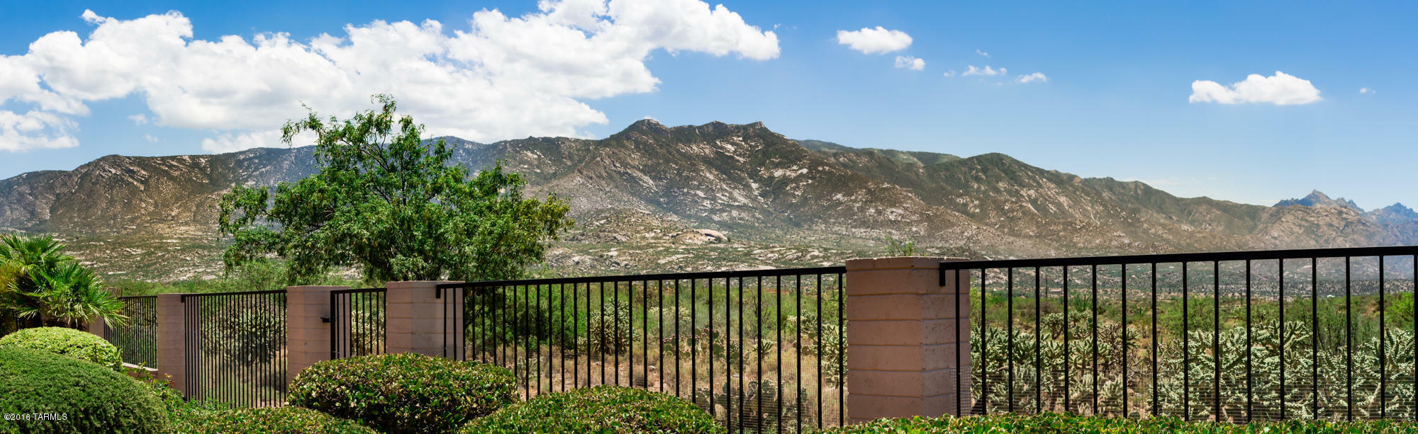 Property Photo:  64571 E Canyon Shadows Lane  AZ 85739 