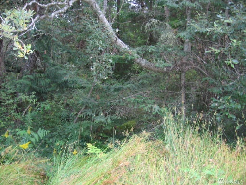 Property Photo: 0 Foxglove Lane WA 98260