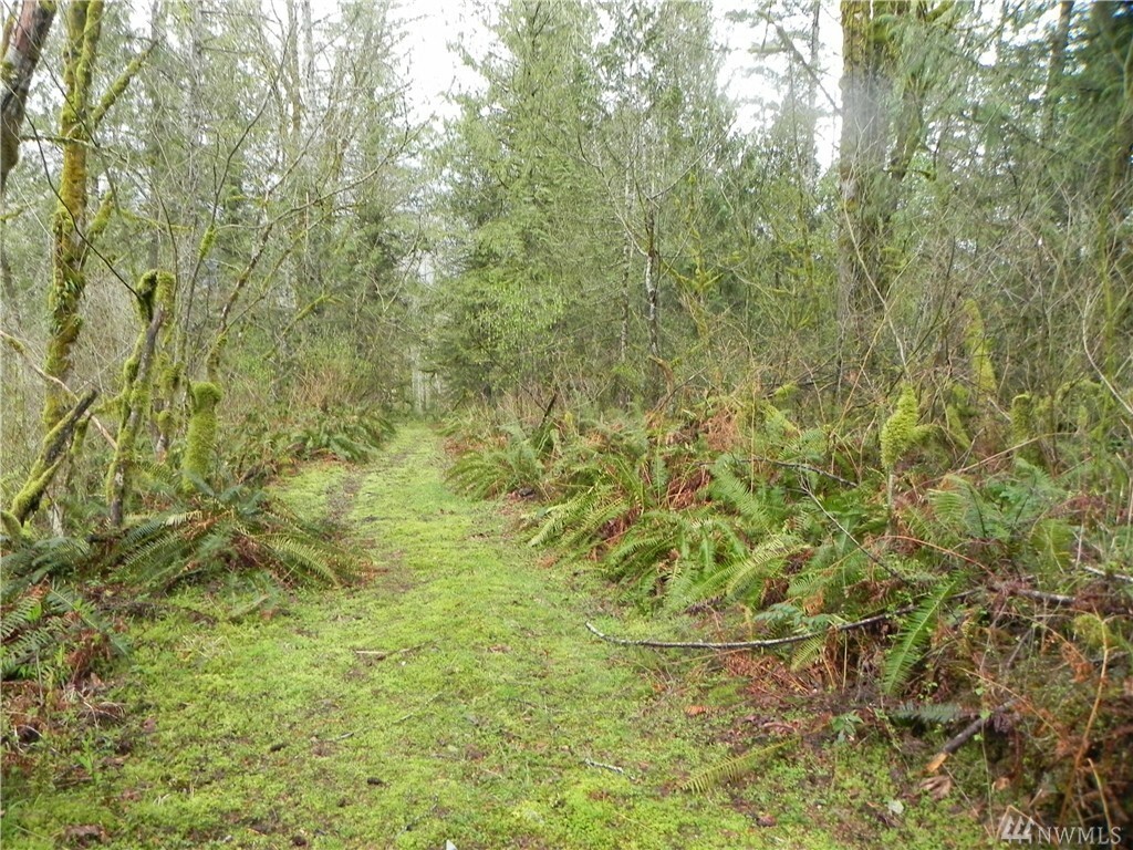 Property Photo:  470 Xx SE 162nd St  WA 98045 