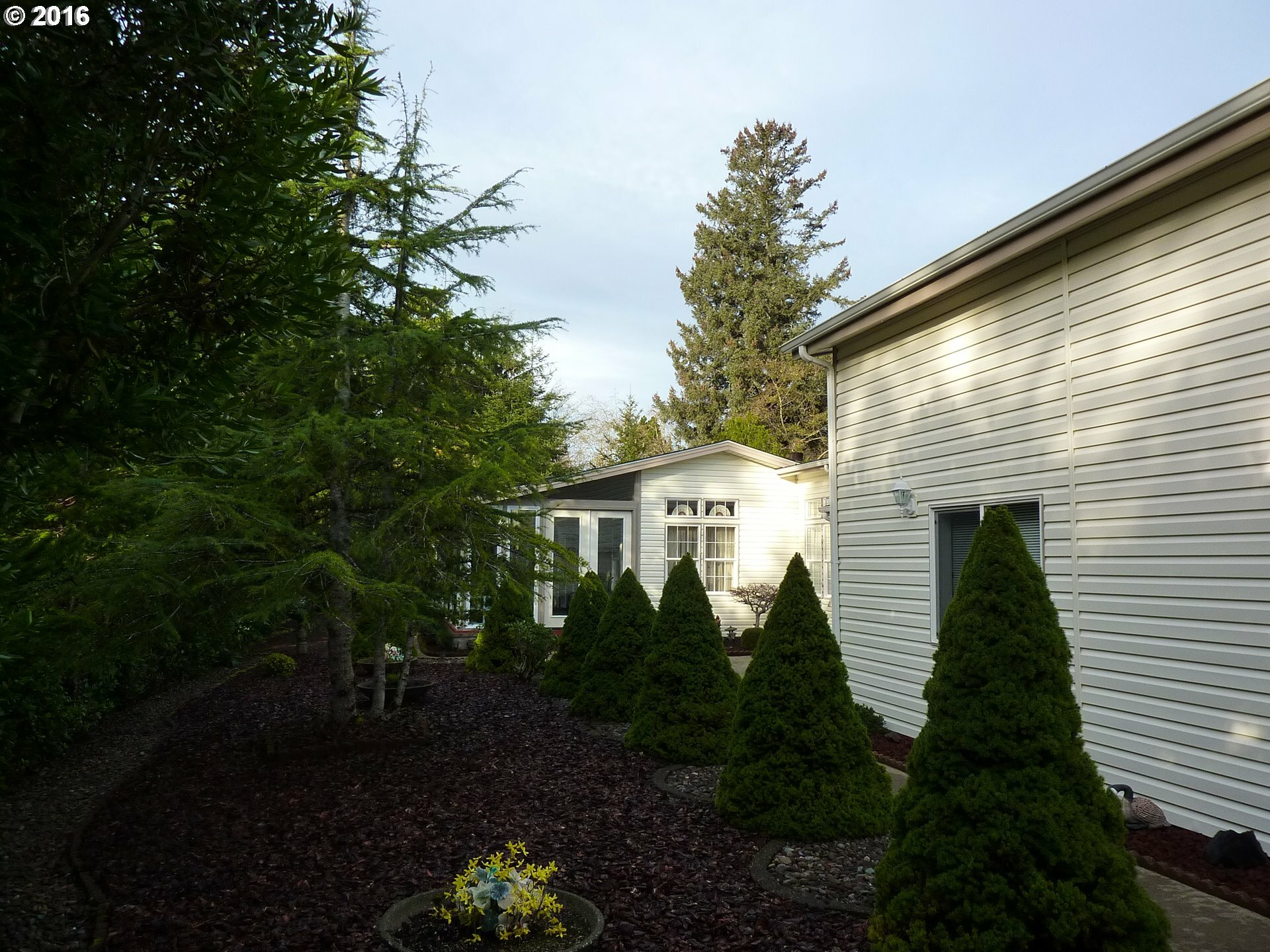 Property Photo:  226 Munsel Creek Loop  OR 97439 