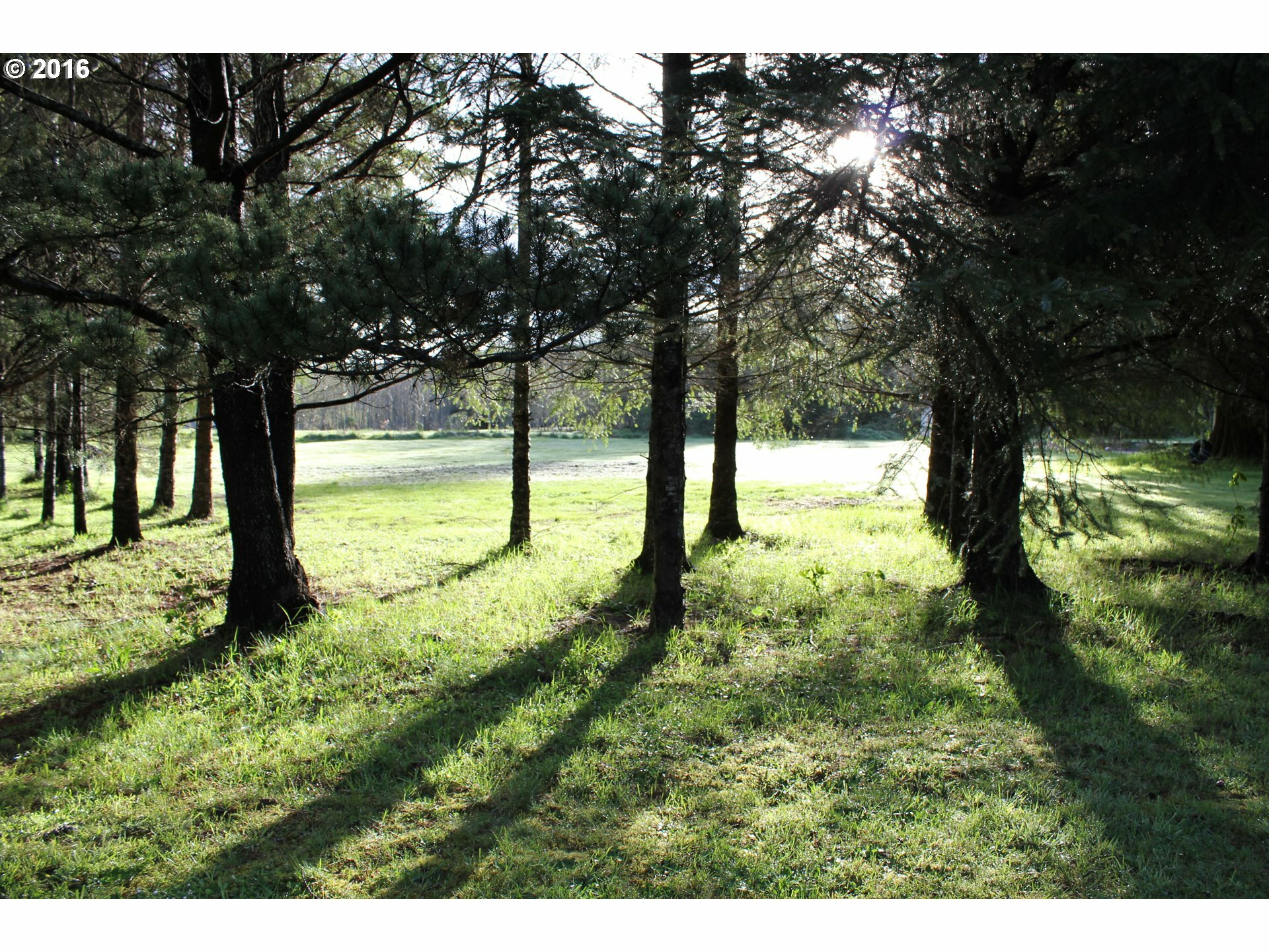 Property Photo: 42090 Hillcrest Loop OR 97103