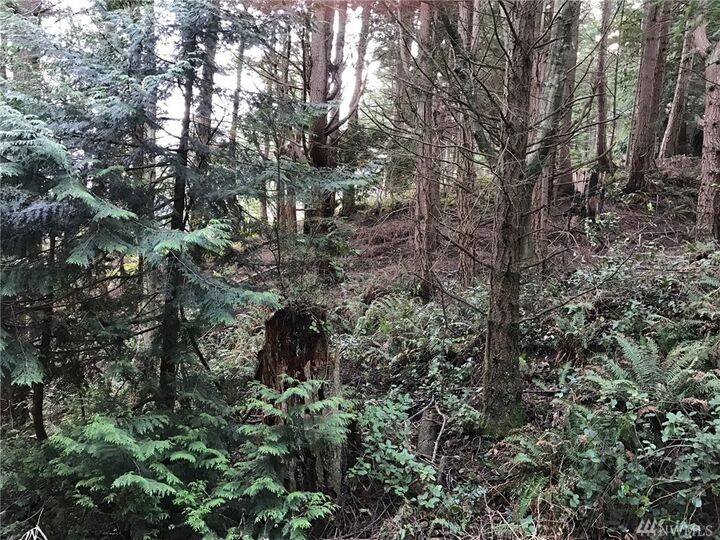 1227 Island Dr  Lummi Island WA 98262 photo