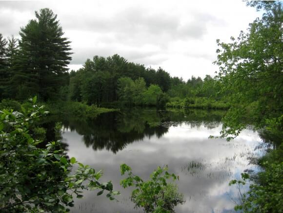 Property Photo:  69 Hook Road  NH 03032 