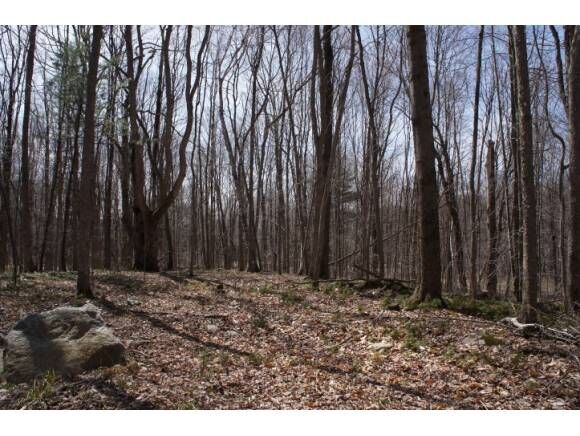 Property Photo:  Lot 2 North Road  VT 05461 