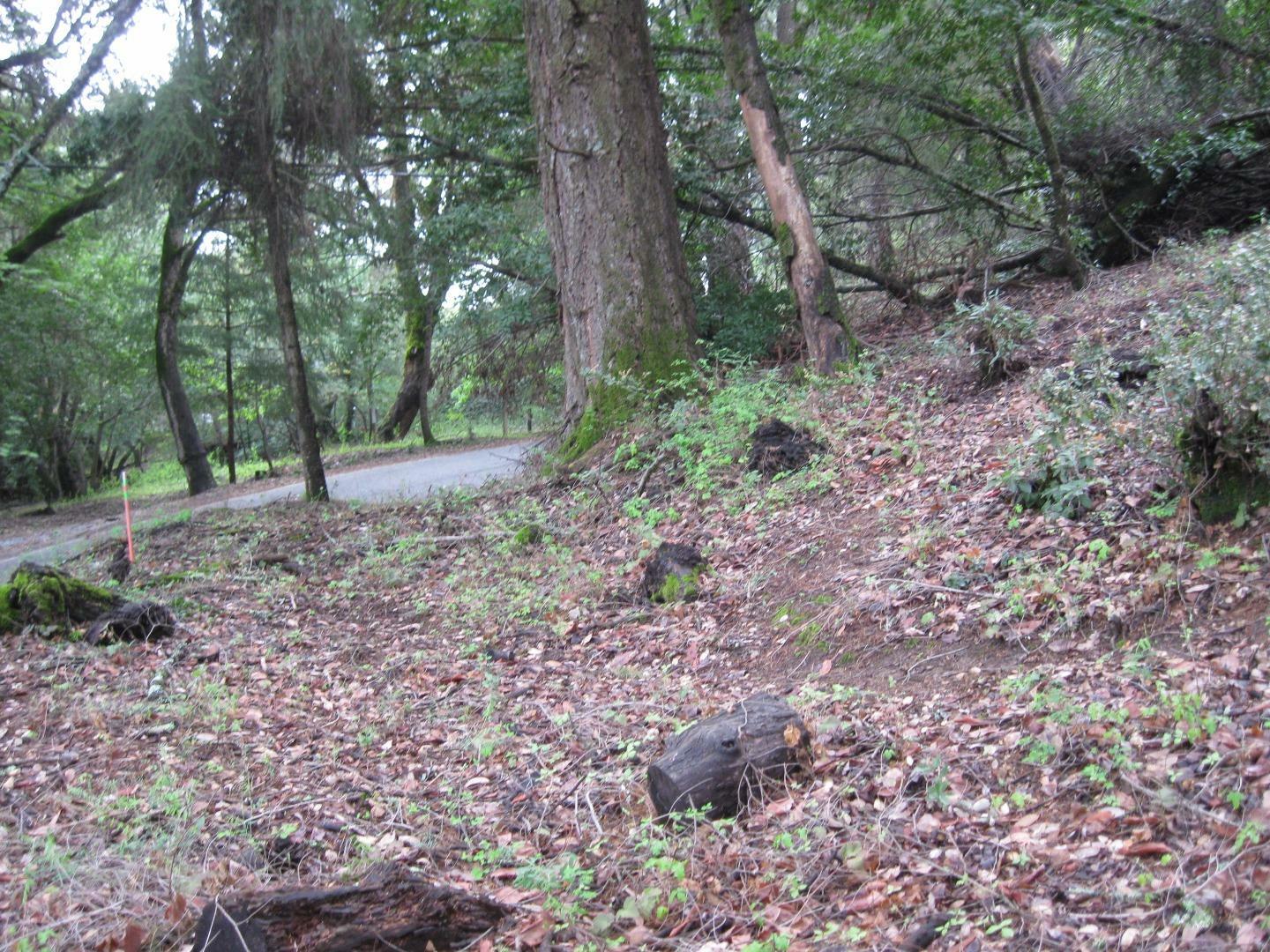 Property Photo:  20241 Gist Road  CA 95033 