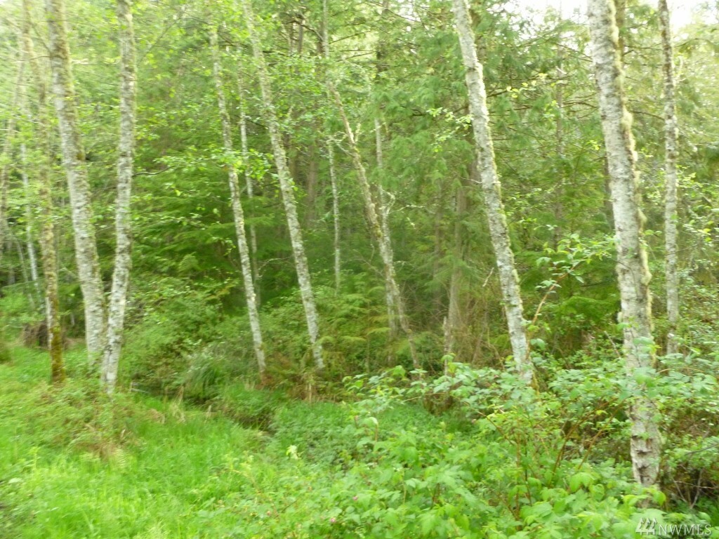 Property Photo: Xxx Thumper Place WA 98282