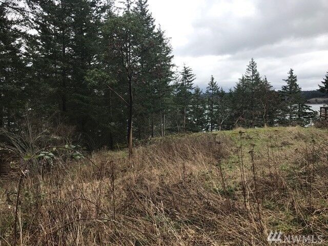 1250 Island Dr  Lummi Island WA 98262 photo