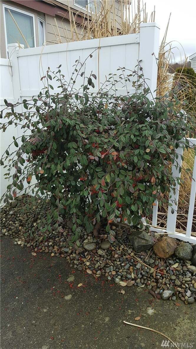 Property Photo: 4751 Birch Bay Lynden Rd 286 WA 98230