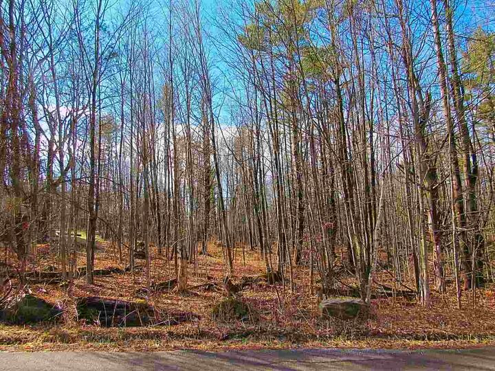 Property Photo:  00 Sherwood Forest Road 1  VT 05495 