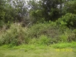 Property Photo: 981 SW California FL 34953