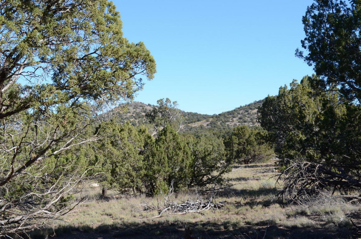 Property Photo:  6339 N Bluefield Road  AZ 86004 