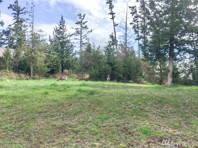 Property Photo:  825 Sunday Dr  WA 98250 