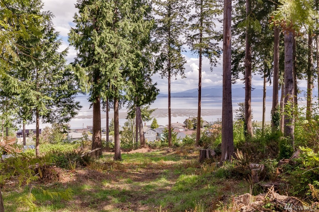Property Photo: 337 Tillicum Way WA 98282