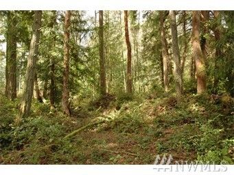 Property Photo:  1111 SE Nelson Rd  WA 98359 
