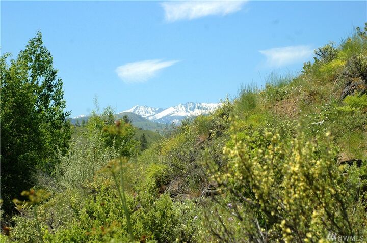Property Photo:  42 North Landing Rd  WA 98862 