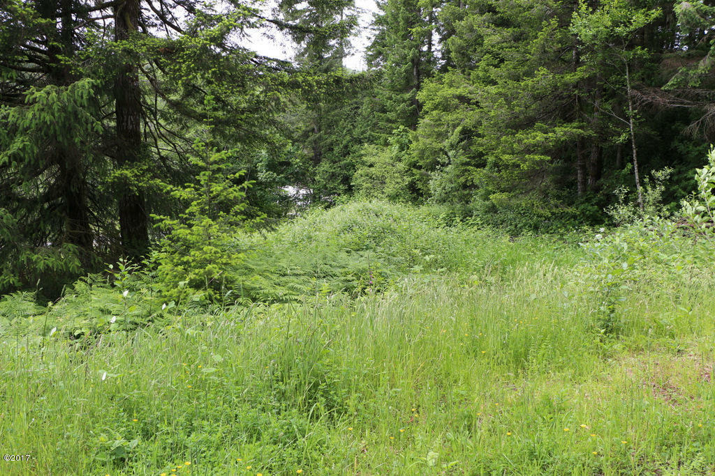 Property Photo: T/L 503 Salmon River Highway OR 97368