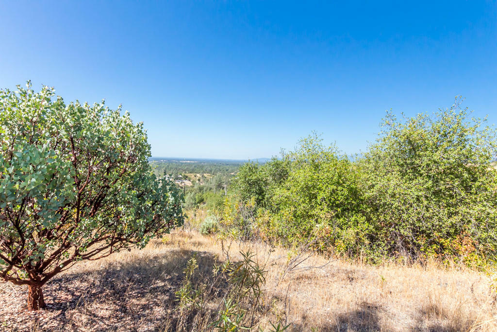 Property Photo:  22584 Jones Valley Trl  CA 96003 