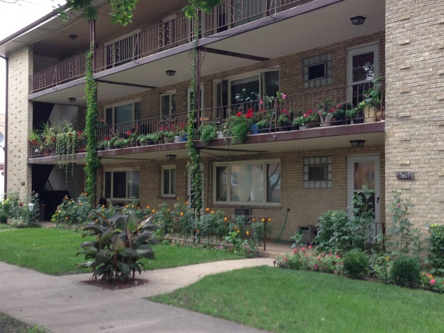Property Photo: 5607 N St Louis Avenue 1 IL 60659