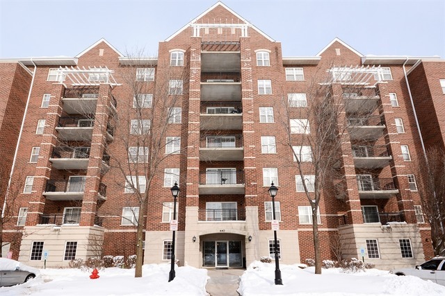 Property Photo: 440 W Mahogany Court 208 IL 60067