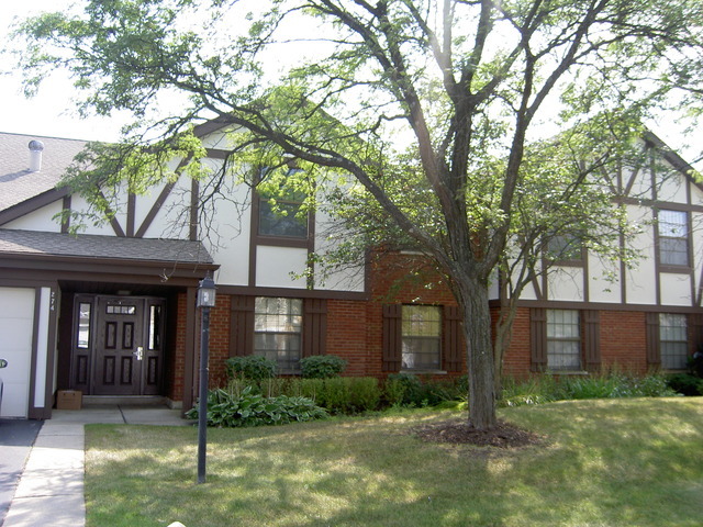 Property Photo: 274 Northbury Court A-1 IL 60193
