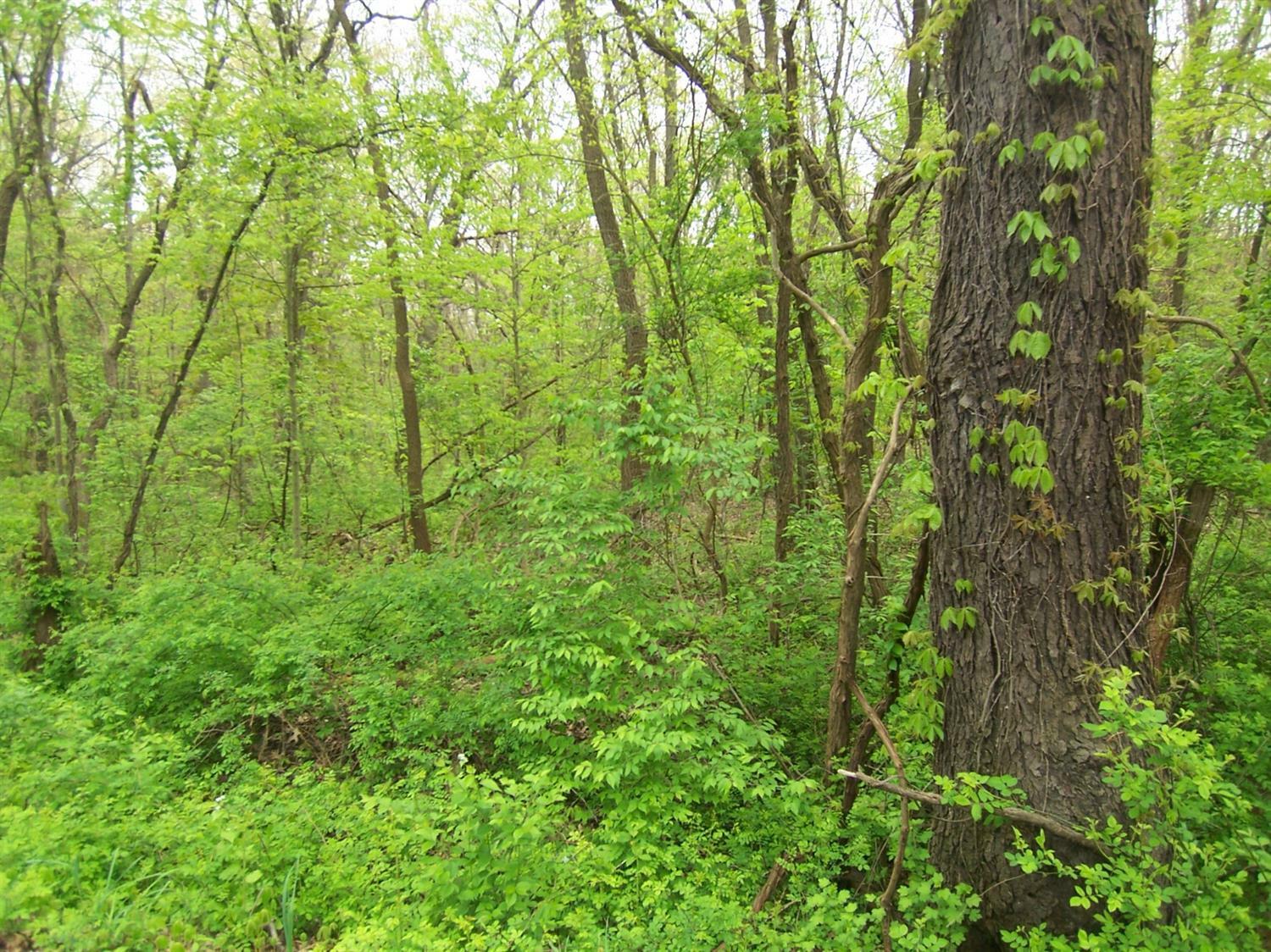 Property Photo:  0 W 450 North - Tract 3  IN 46350 