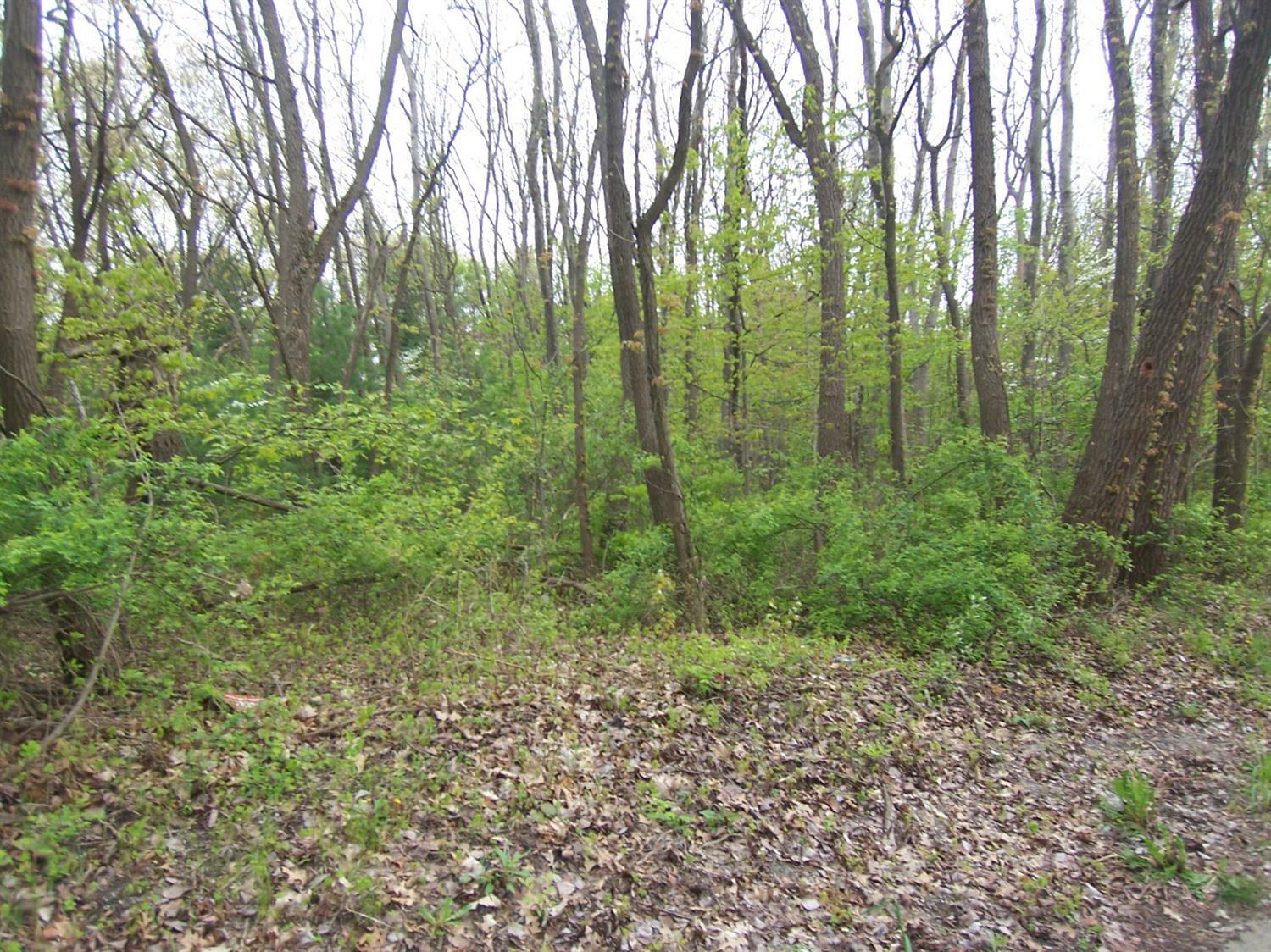 Property Photo:  0 W 450 North - Tract 1  IN 46350 