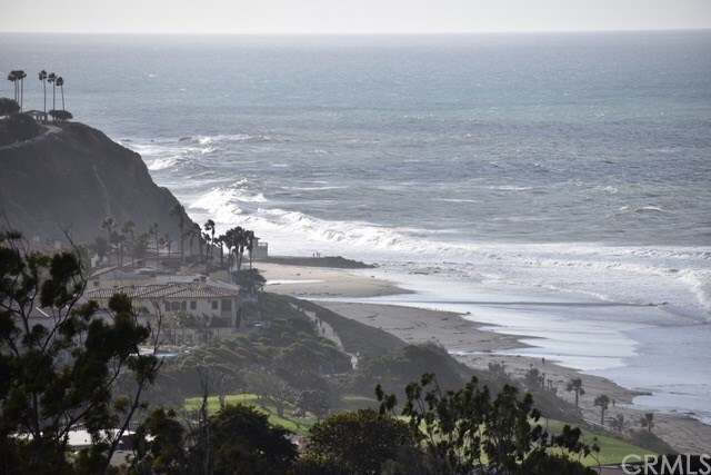 Property Photo: 32681 Caspian Sea Drive CA 92629