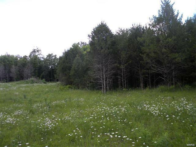 Property Photo: 6117 Tall Cedars MO 63050