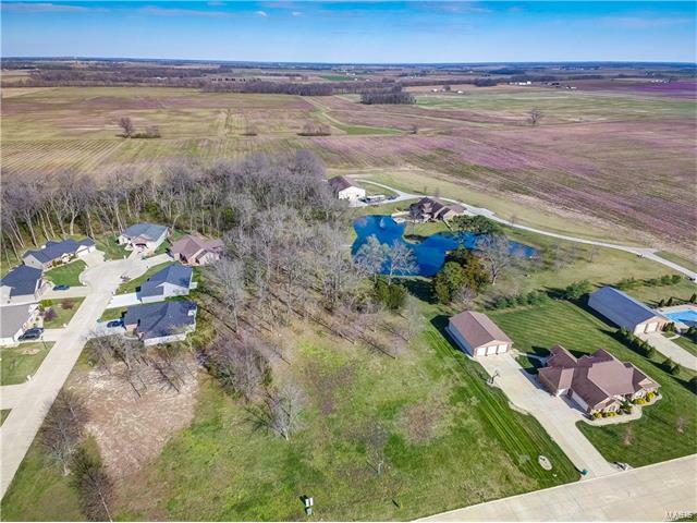 Property Photo: 4707 Driftstone Lane IL 62285