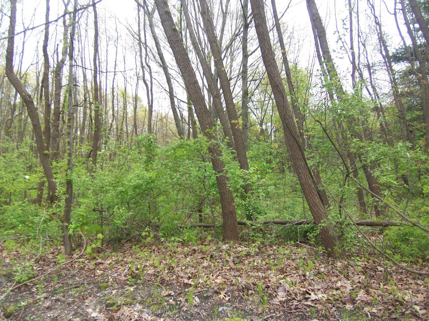 Property Photo:  0 W 450 North - Tract 2  IN 46350 