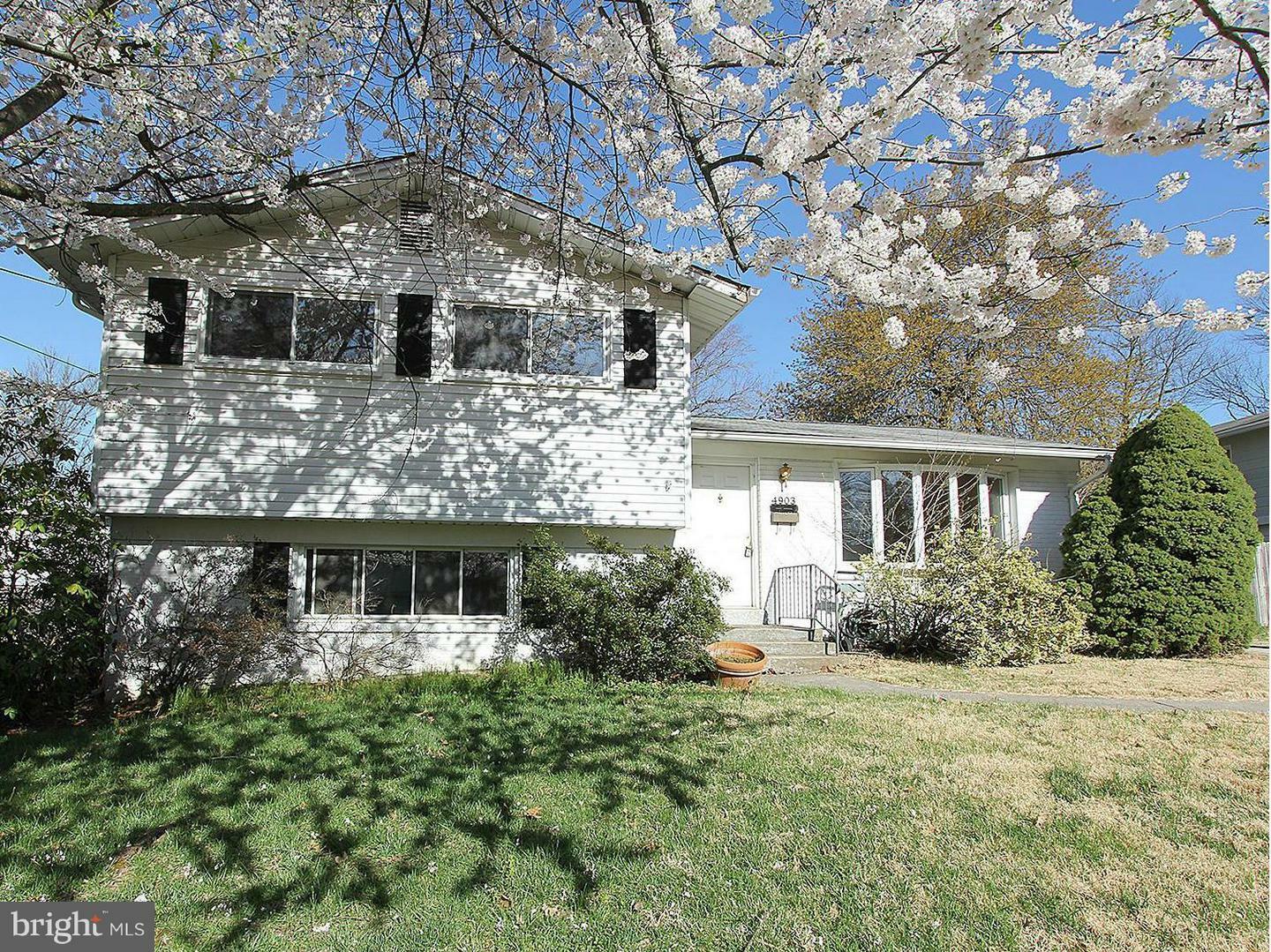 Property Photo:  4903 Arbutus Avenue  MD 20853 