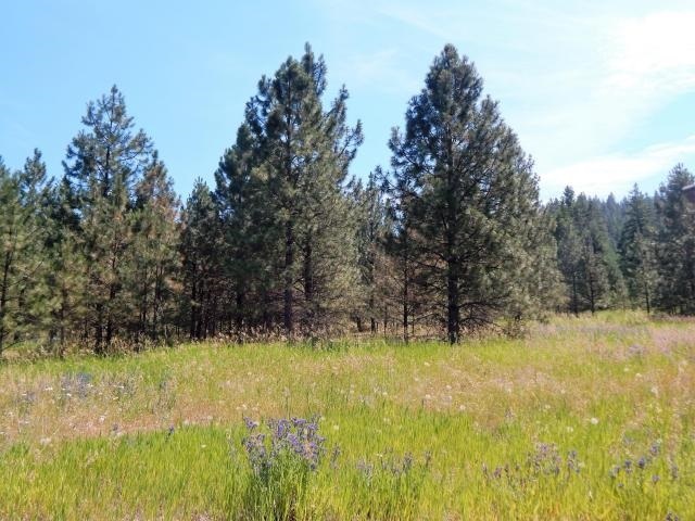 Property Photo:  Tbd Wolf Track Way Lot 3  WA 99129 