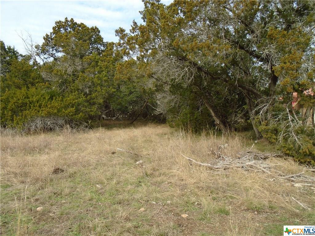 Property Photo:  0 Valley Star  TX 78133 