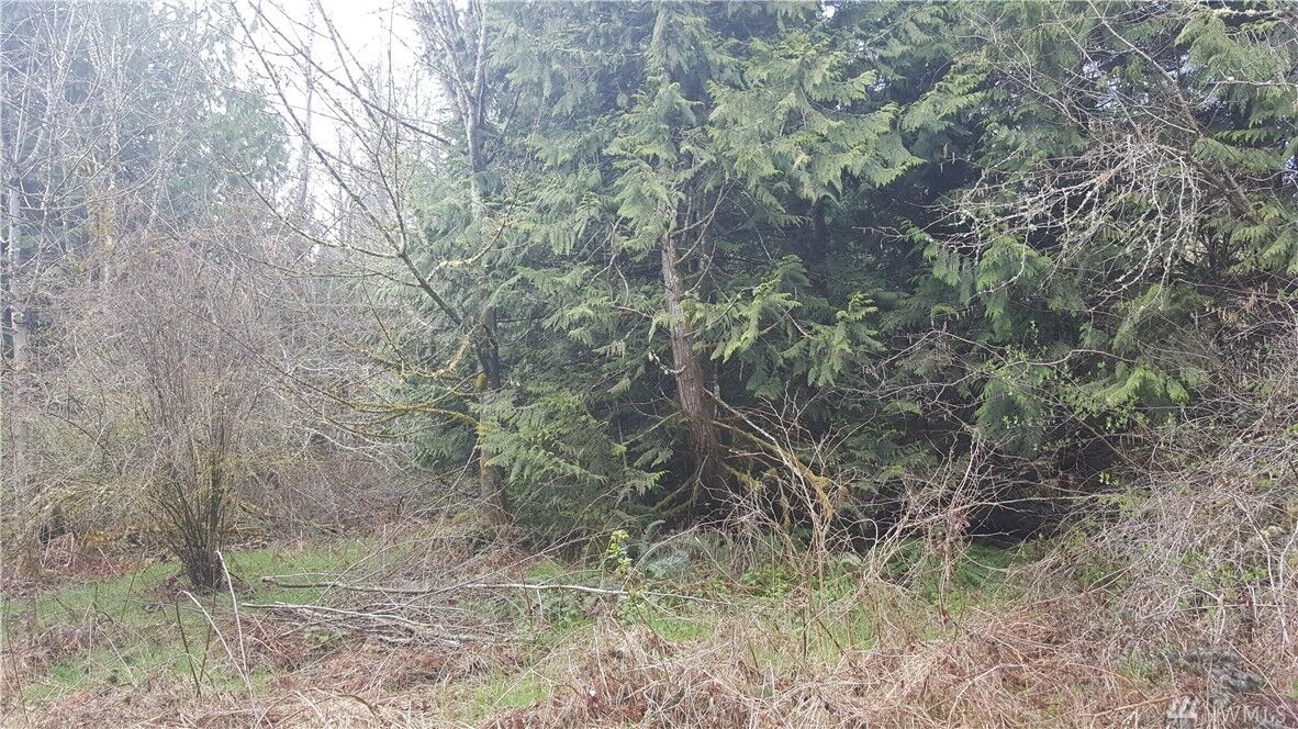 Property Photo:  15635 Ursula Lane SE  WA 98597 