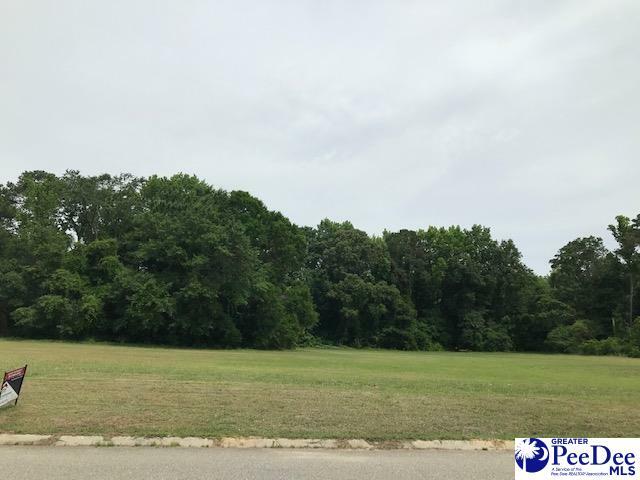 Property Photo: Lot 4 Rivergate Drive SC 29501