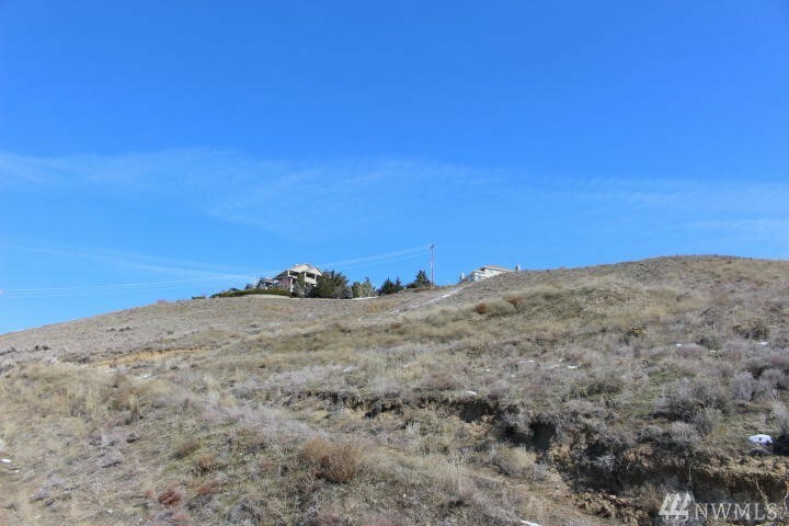Property Photo: 469 Lower Daniels Dr WA 98802