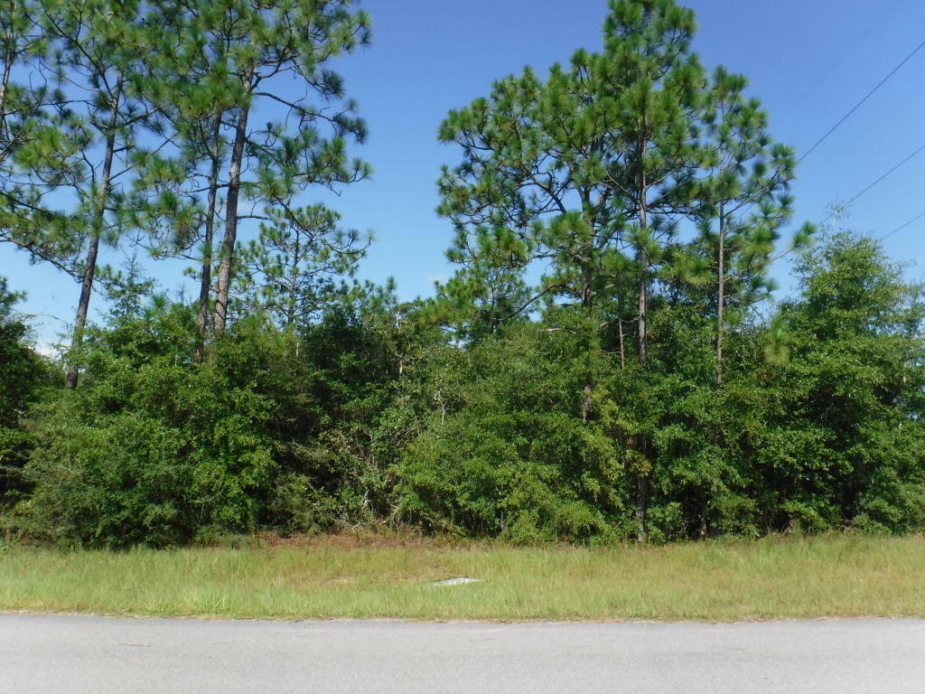 Property Photo:  Lot 94 Blue Ridge Boulevard  FL 32434 