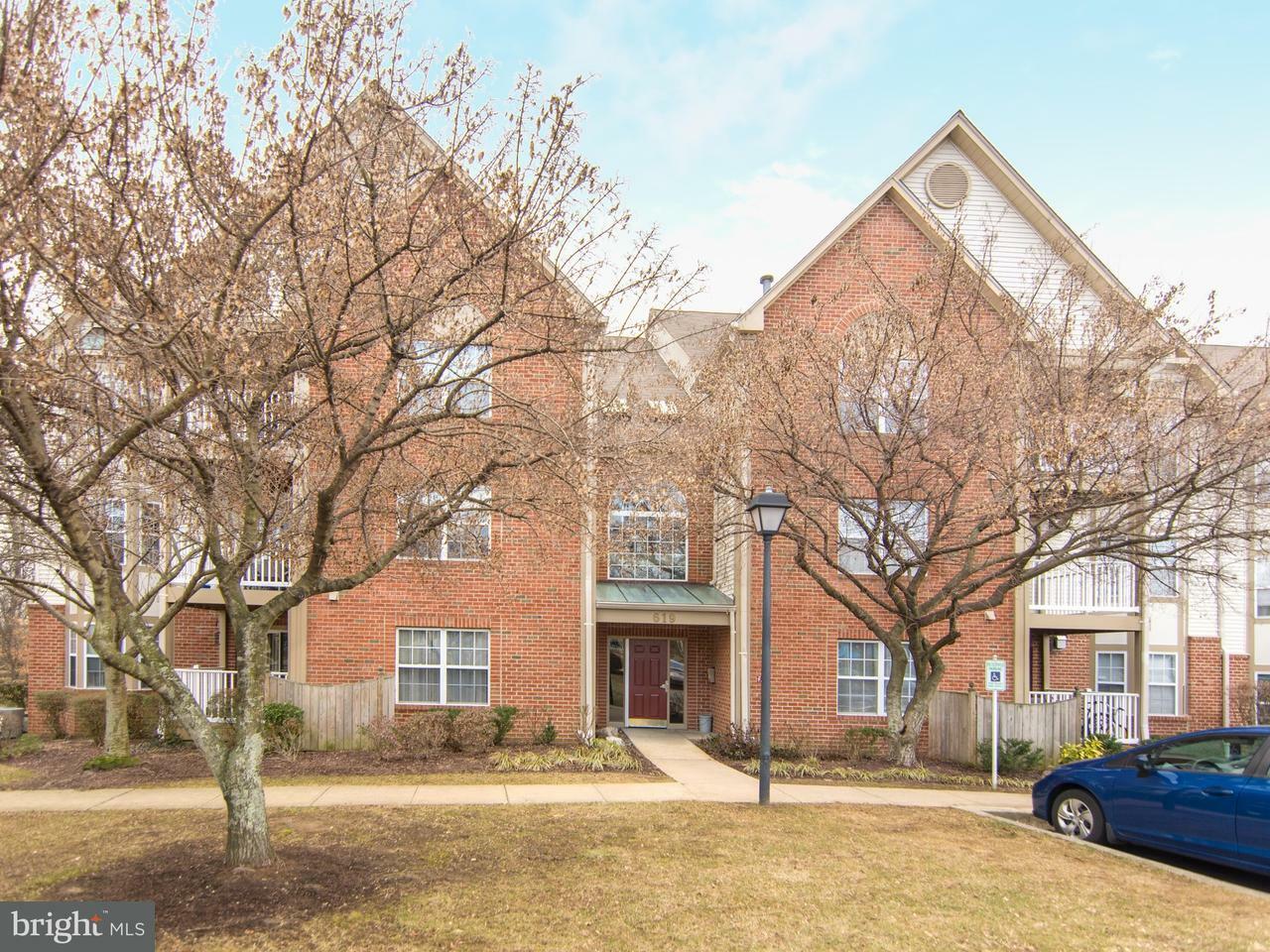 Property Photo: 619 Admiral Drive 303 MD 21401