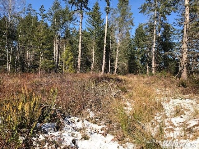 Property Photo:  28808 Hansville Rd NE  WA 98346 