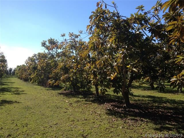 Property Photo:  240 SW 167 Av  FL 33031 