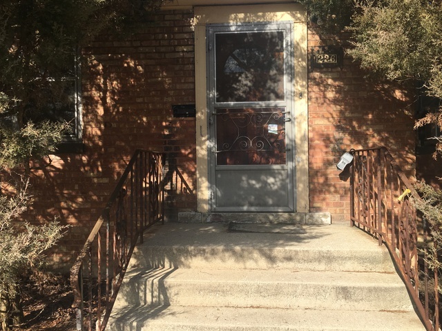 Property Photo: 226 Park Street IL 60559