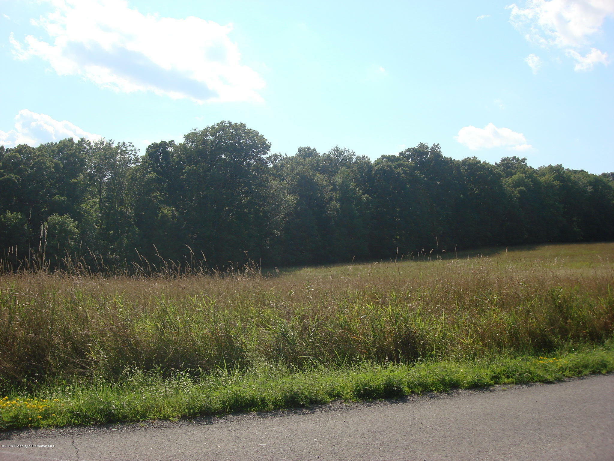 Property Photo:  Lot 17 Middle Mountain Drive  PA 18419 