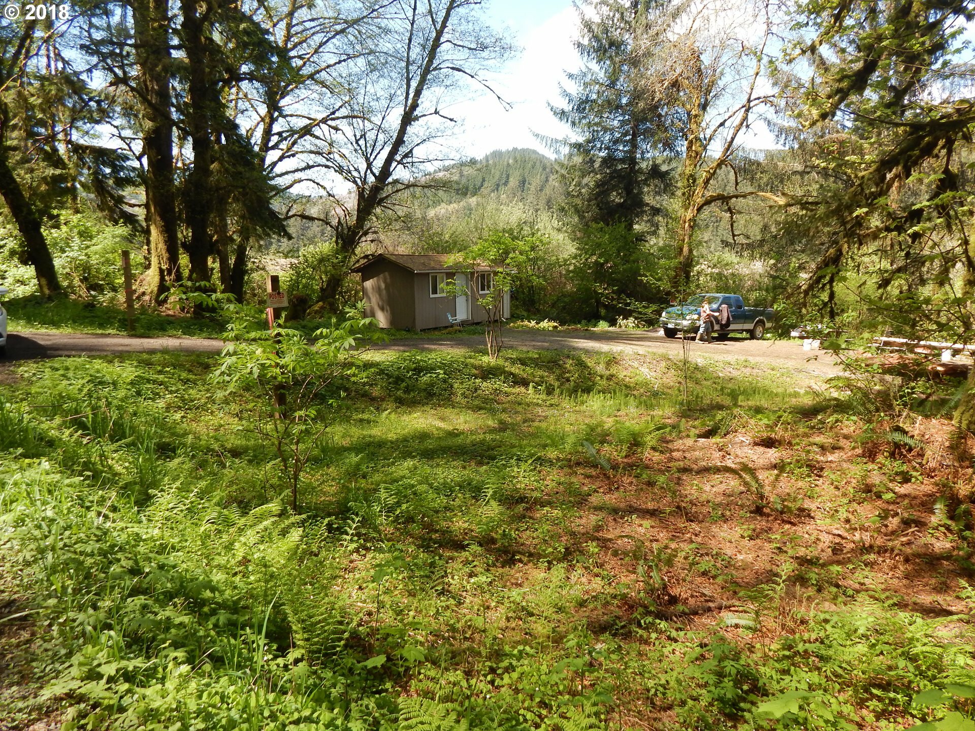 Property Photo:  Bernhardt Creek Rd  OR 97453 